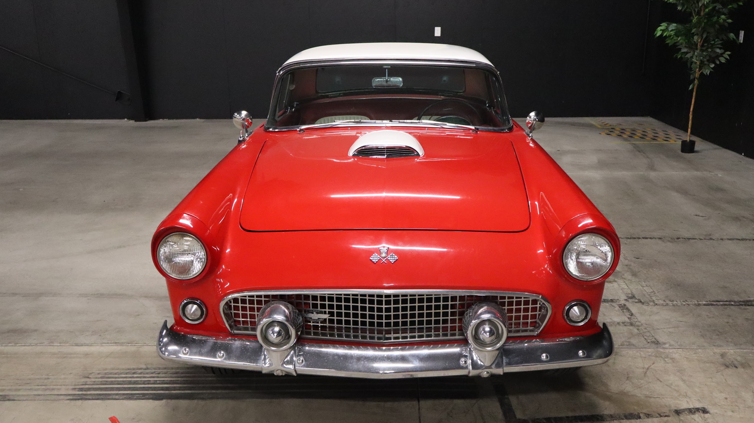 1955 Ford Thunderbird — photo 5