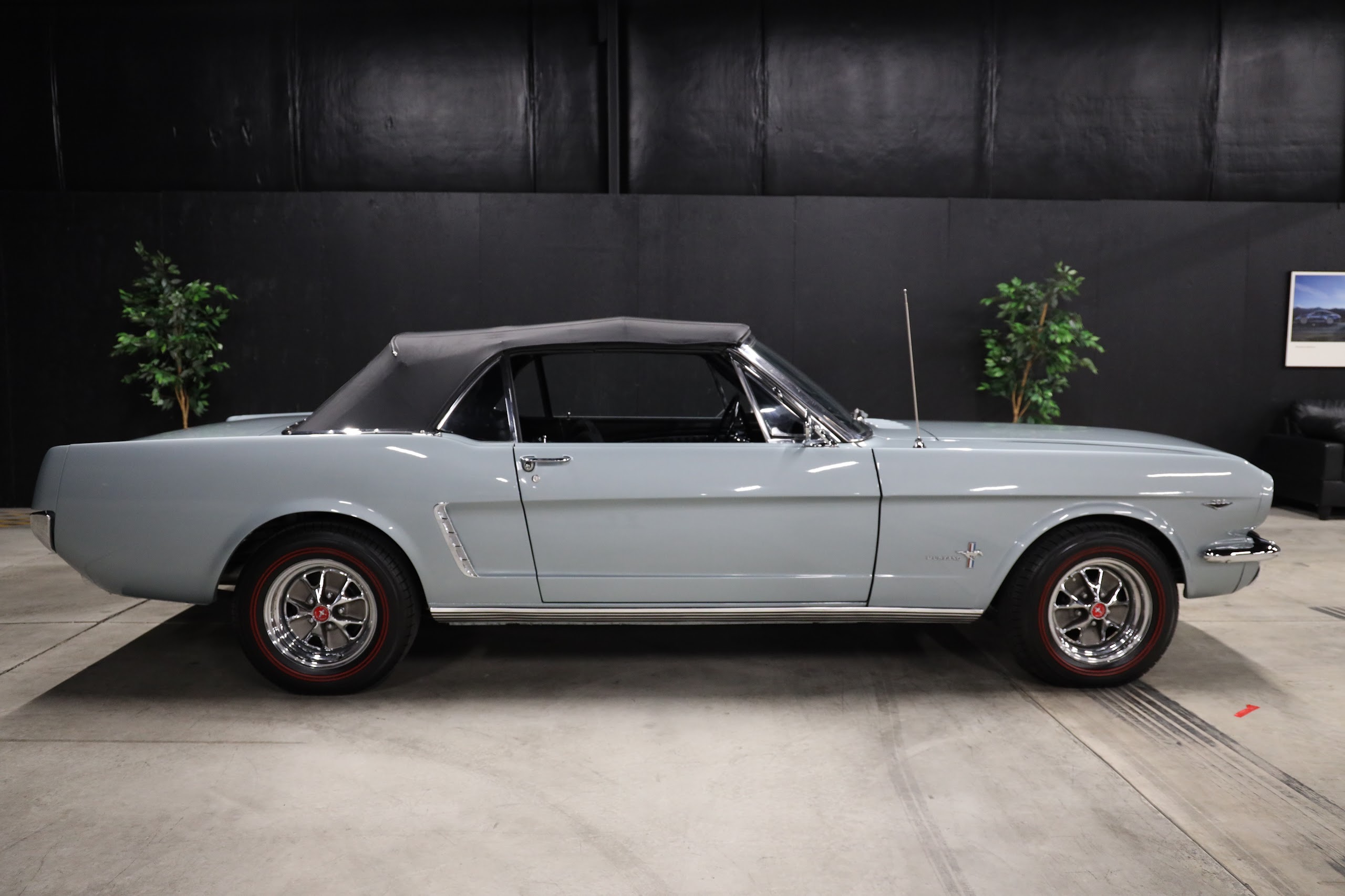 1965 Ford Mustang — photo 6