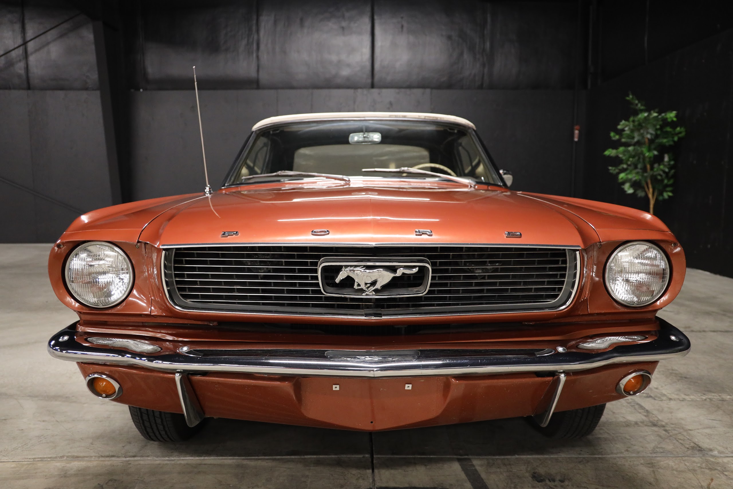 1966 Ford Mustang Convertible — photo 4