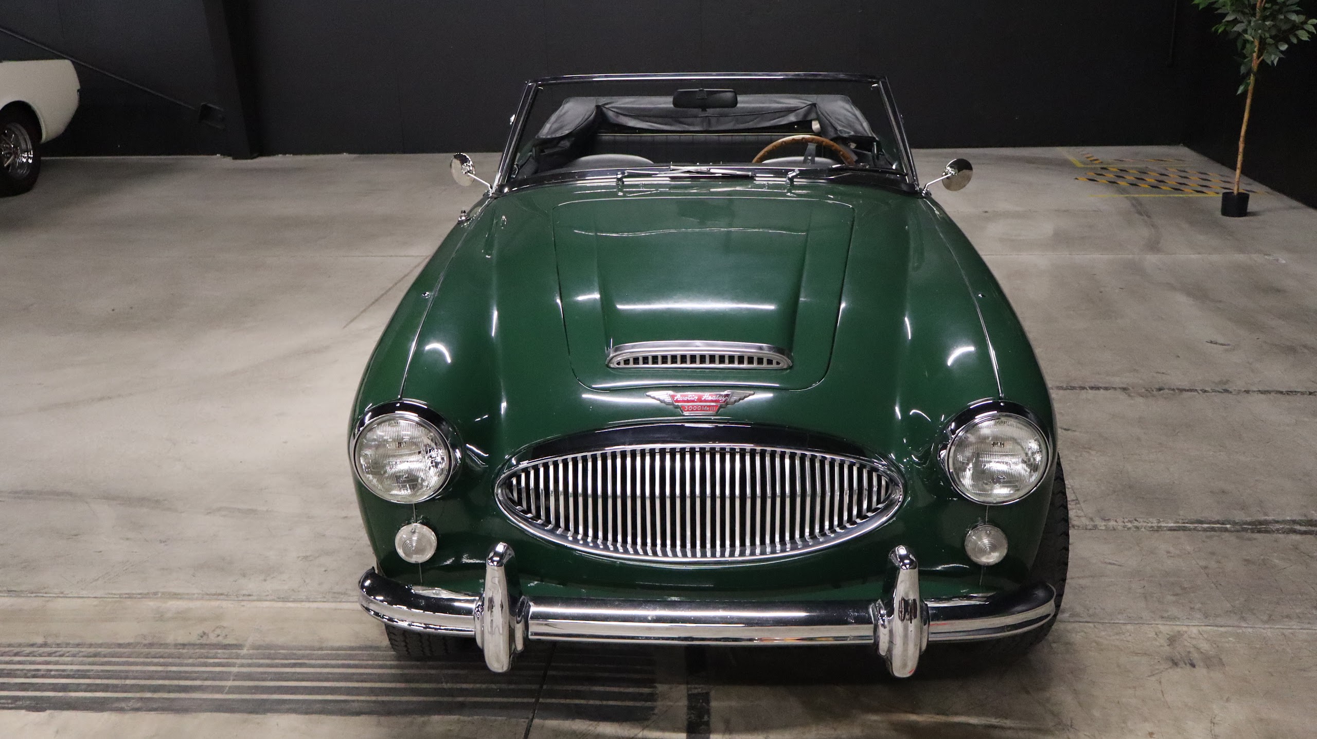 1965 Austin-Healey 3000 Mk III Convertible BJ8 — photo 4