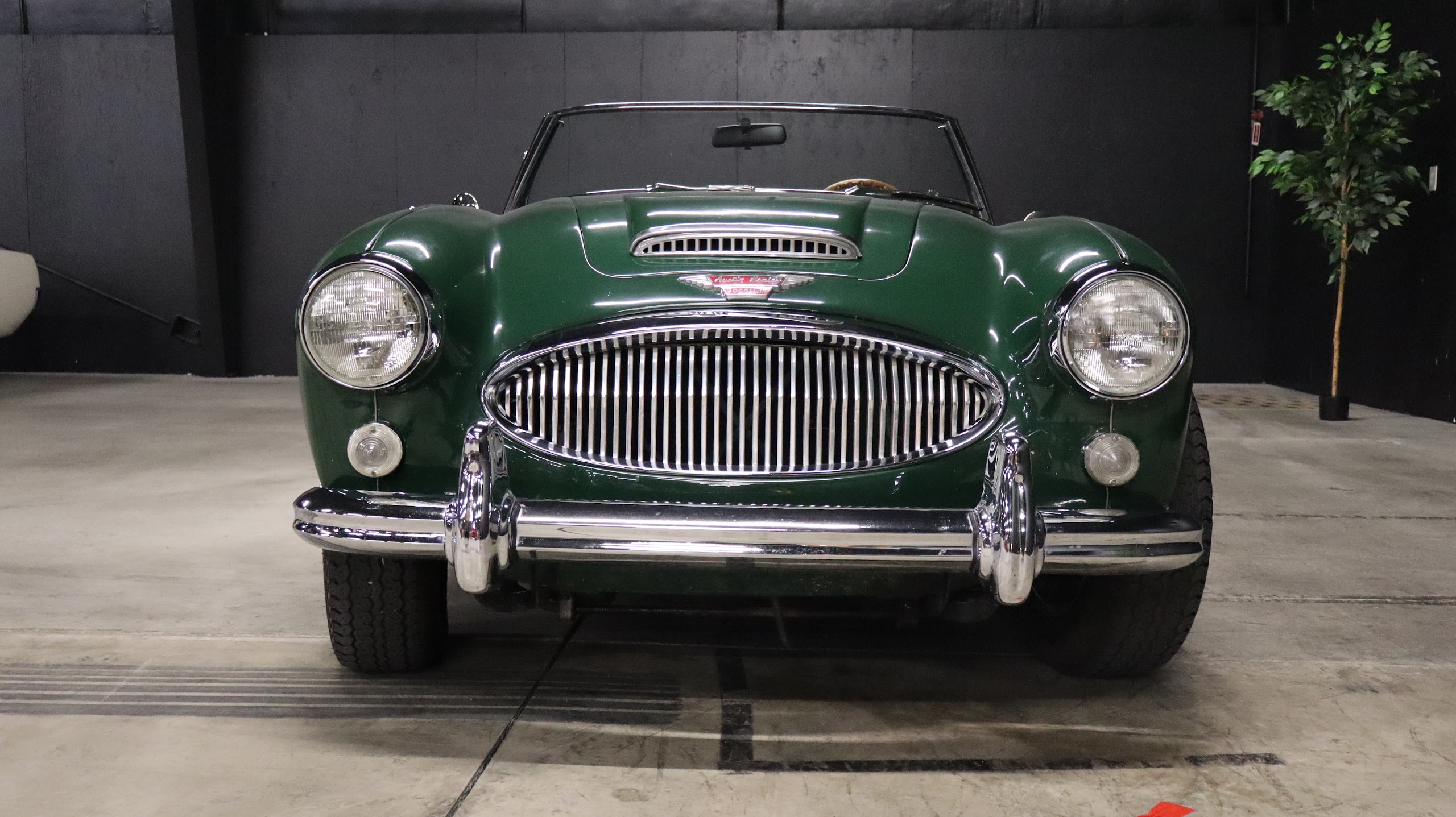 1965 Austin-Healey 3000 Mk III Convertible BJ8 — photo 5