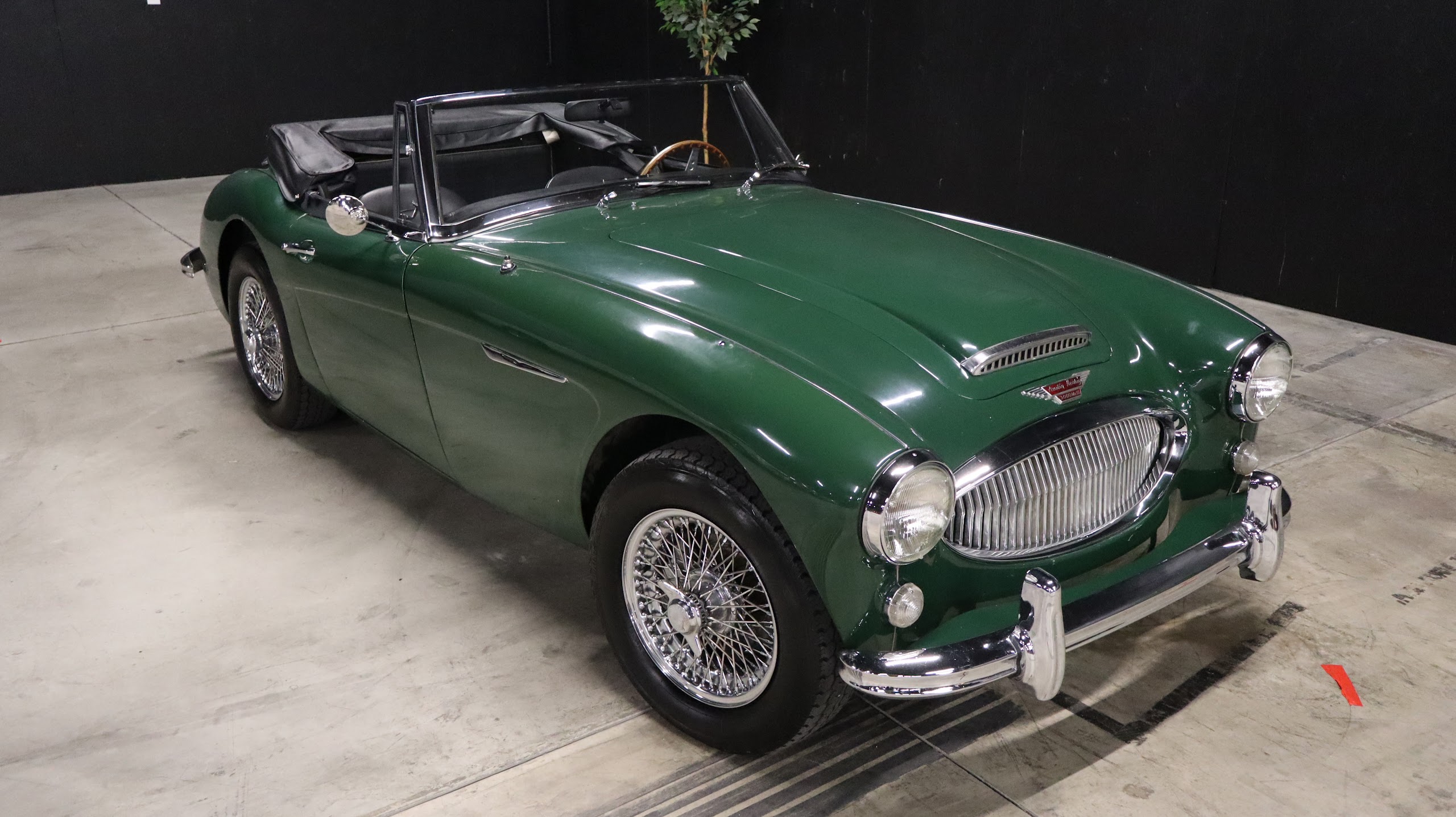 1965 Austin-Healey 3000 Mk III Convertible BJ8 — photo 6