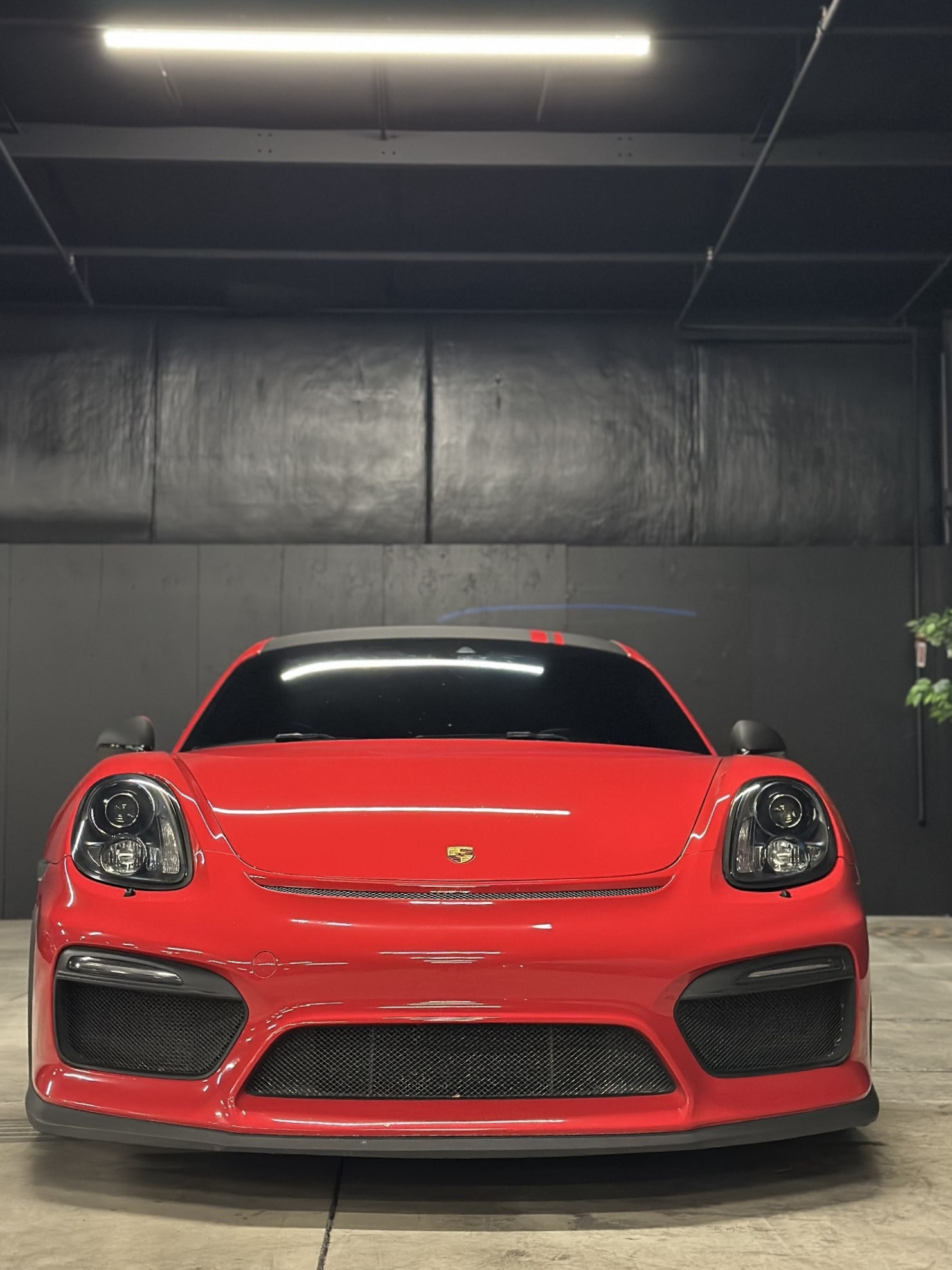 2015 Porsche Cayman GTS — photo 3