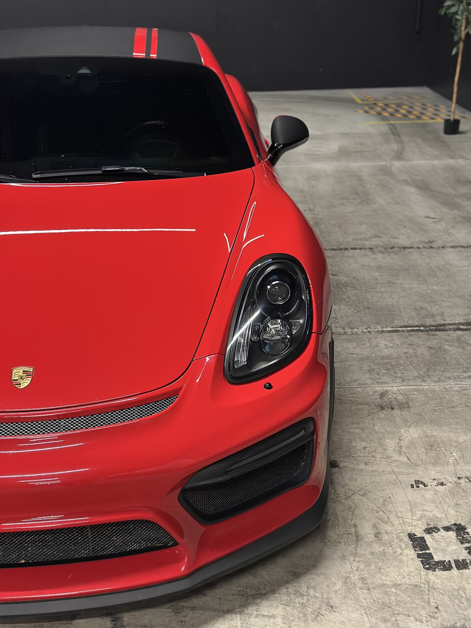 2015 Porsche Cayman GTS — photo 6